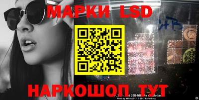 крисы Пенза