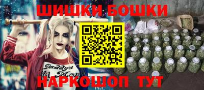 крисы Пенза