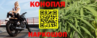 крисы Пенза