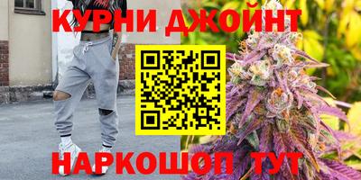 крисы Пенза