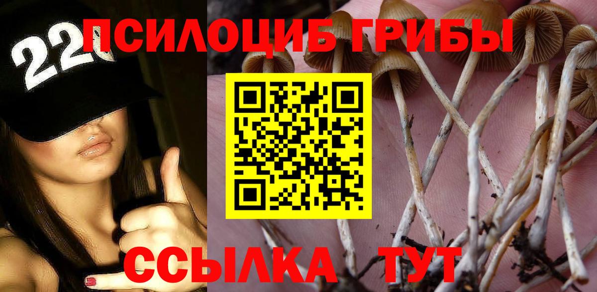 Галлюциногенные грибы мицелий Сосновый Бор