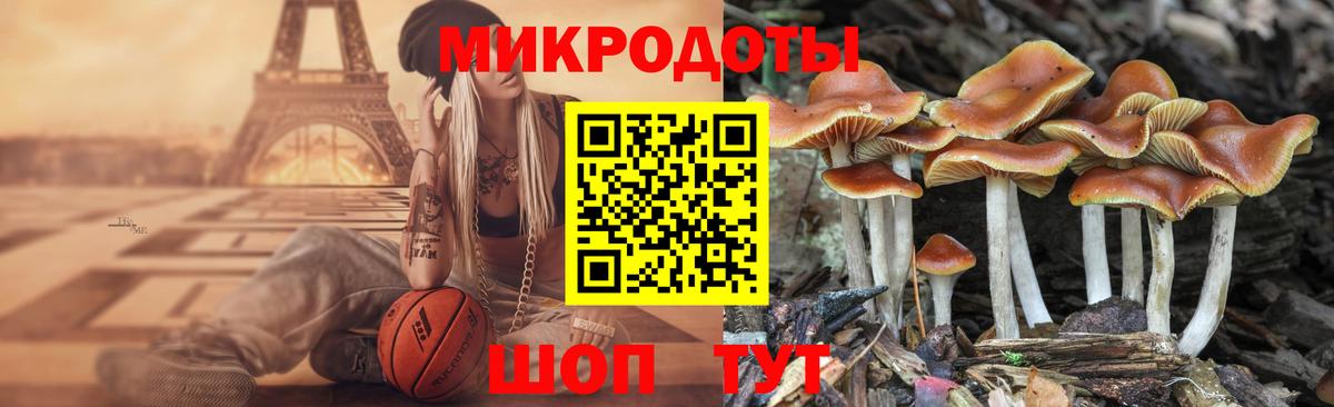 Галлюциногенные грибы мухоморы  как найти   Сосновый Бор  Вход с VPN 
